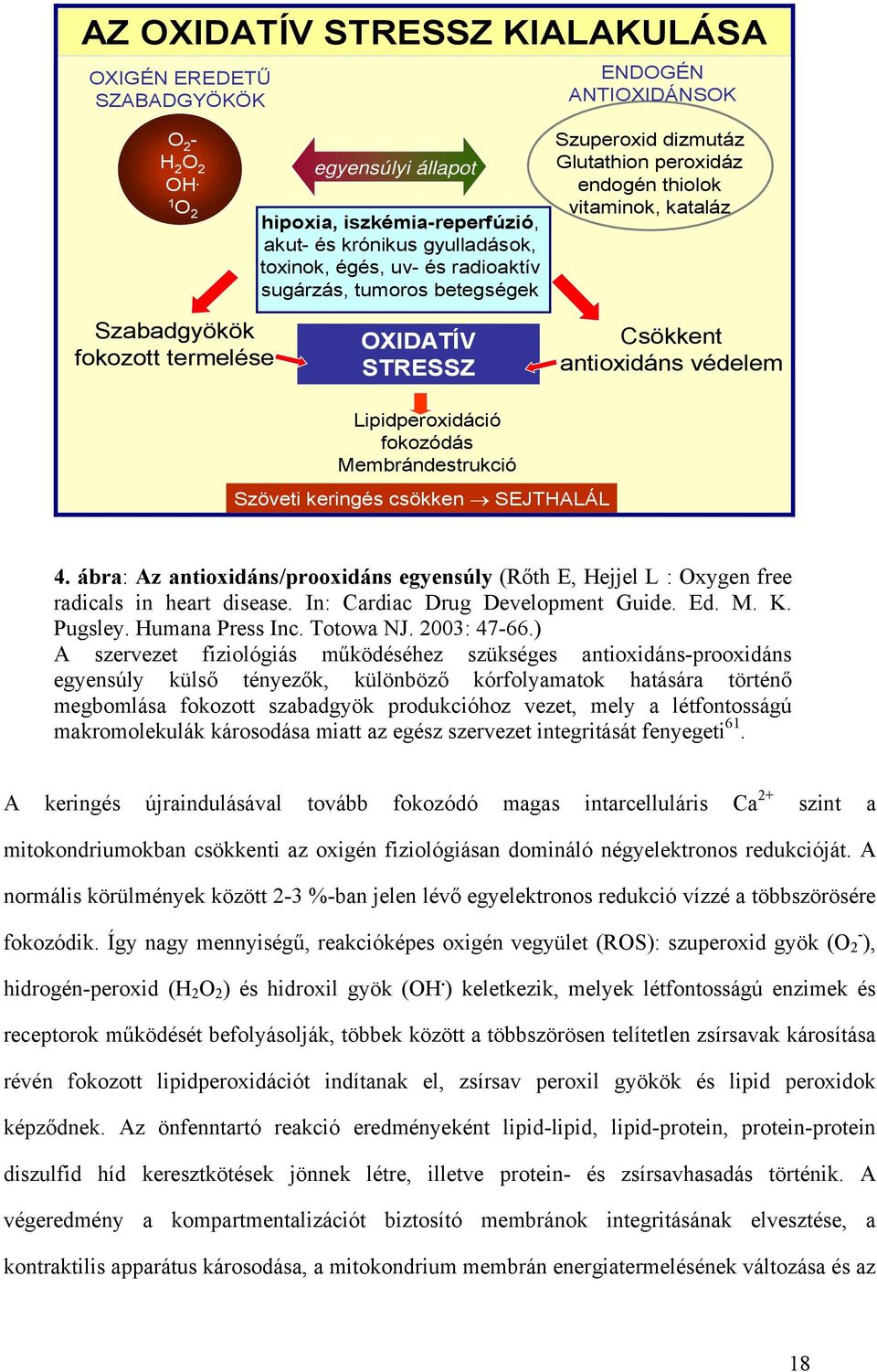 thiolok vitaminok, kataláz Szabadgyökök fokozott termelése OXIDATÍV STRESSZ Csökkent antioxidáns védelem Lipidperoxidáció fokozódás Membrándestrukció Szöveti keringés csökken SEJTHALÁL 4.