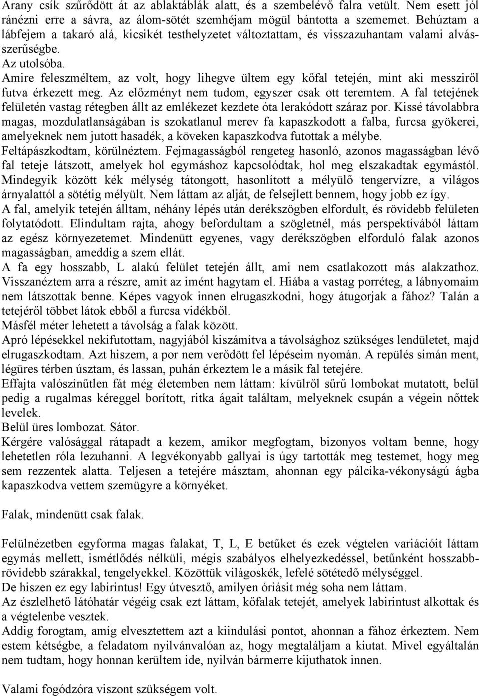 Amire feleszméltem, az volt, hogy lihegve ültem egy kőfal tetején, mint aki messziről futva érkezett meg. Az előzményt nem tudom, egyszer csak ott teremtem.