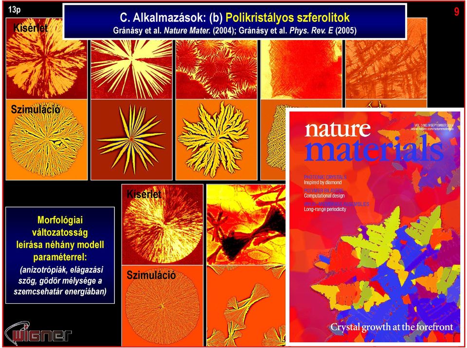 E (2005) 9 Szimuláció Morfológiai változatosság leírása néhány modell