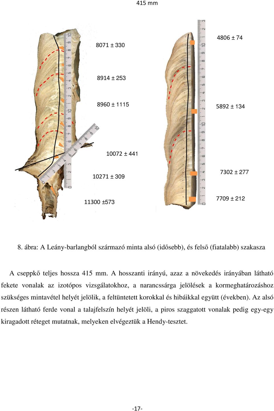 A hosszanti irányú, azaz a növekedés irányában látható fekete vonalak az izotópos vizsgálatokhoz, a narancssárga jelölések a kormeghatározáshoz szükséges