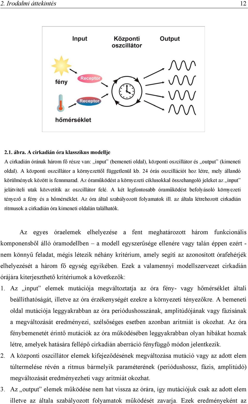 Az óraműködést a környezeti ciklusokkal összehangoló jeleket az input jelátviteli utak közvetítik az oszcillátor felé.