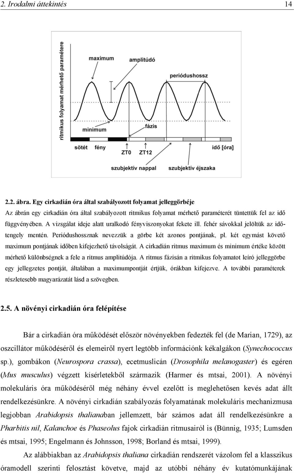 A vizsgálat ideje alatt uralkodó fényviszonyokat fekete ill. fehér sávokkal jelöltük az időtengely mentén. Periódushossznak nevezzük a görbe két azonos pontjának, pl.