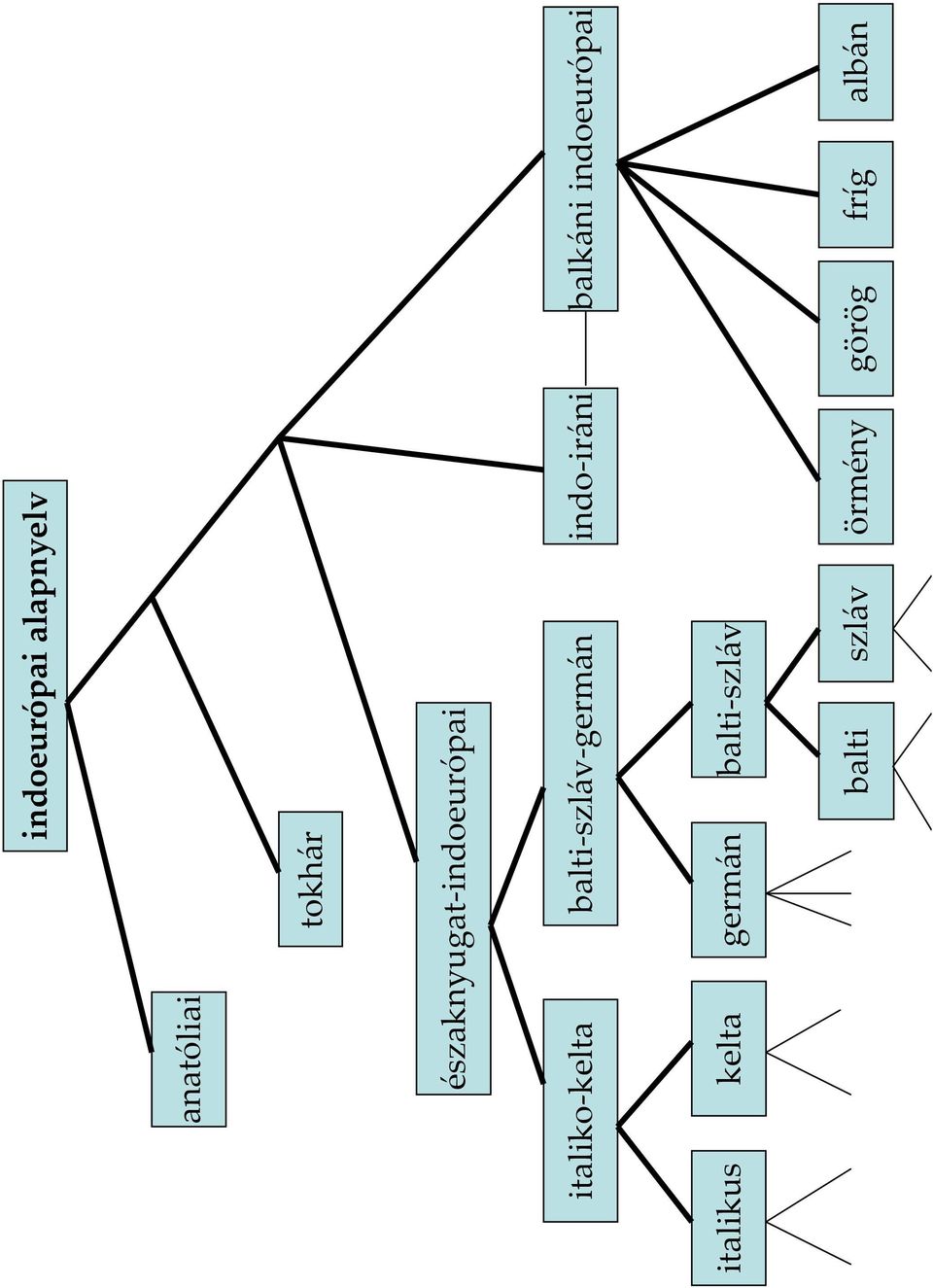 balti-szláv-germán indo-iráni italikus kelta