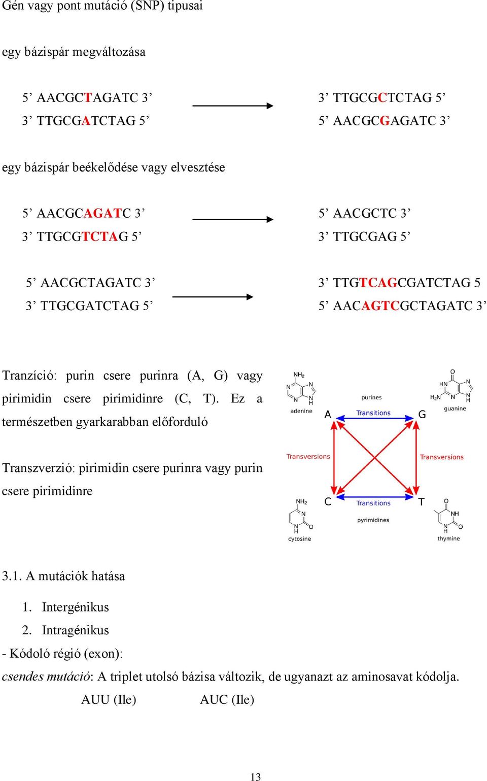 vagy pirimidin csere pirimidinre (C, T). Ez a természetben gyarkarabban előforduló Transzverzió: pirimidin csere purinra vagy purin csere pirimidinre 3.1.