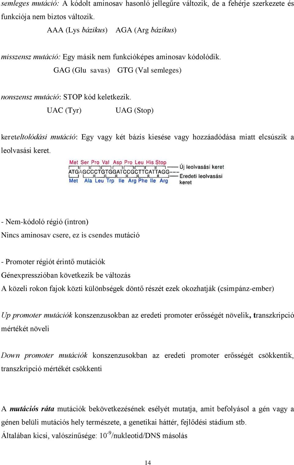 UAC (Tyr) UAG (Stop) kereteltolódási mutáció: Egy vagy két bázis kiesése vagy hozzáadódása miatt elcsúszik a leolvasási keret.