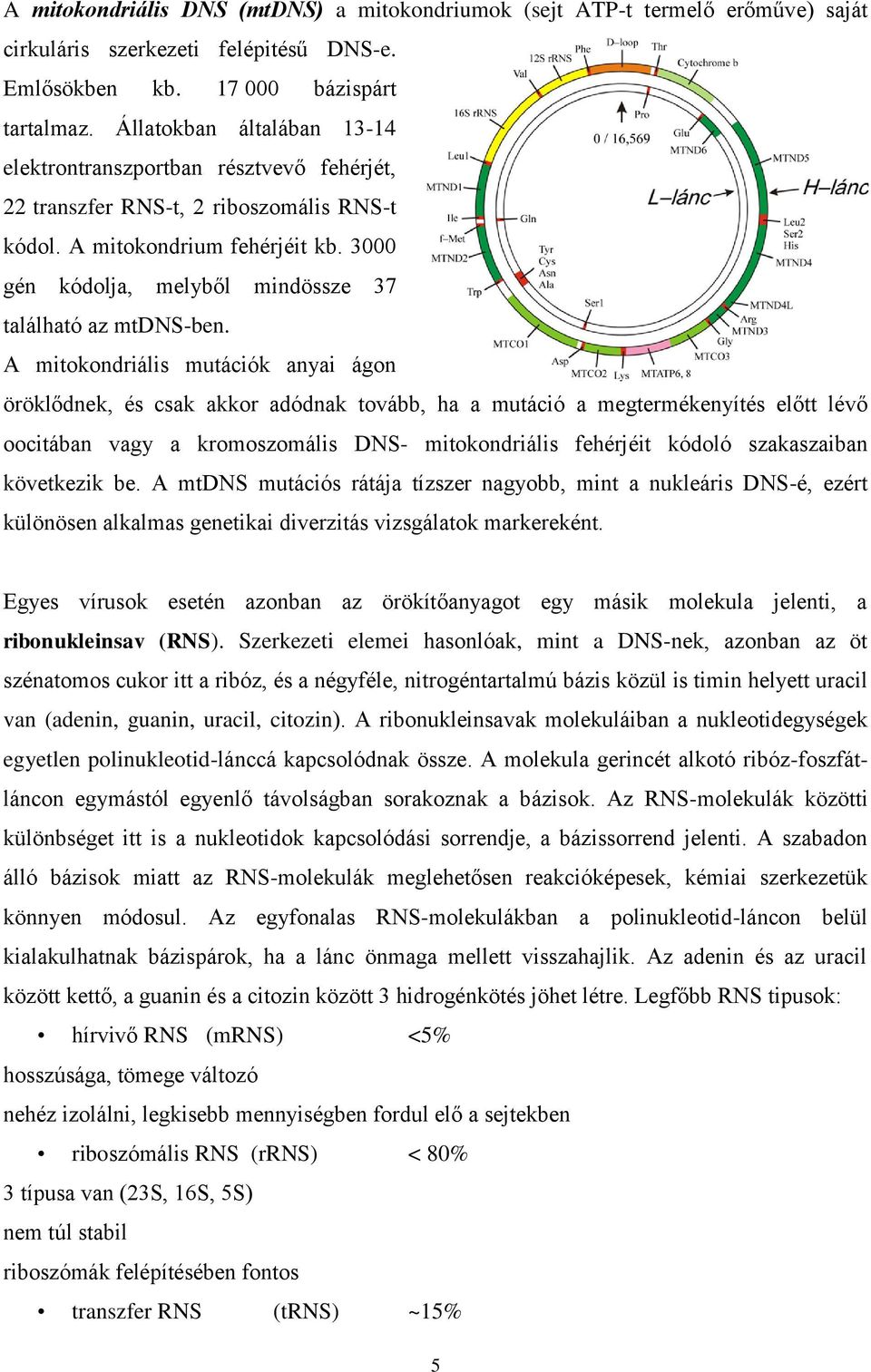 3000 gén kódolja, melyből mindössze 37 található az mtdns-ben.