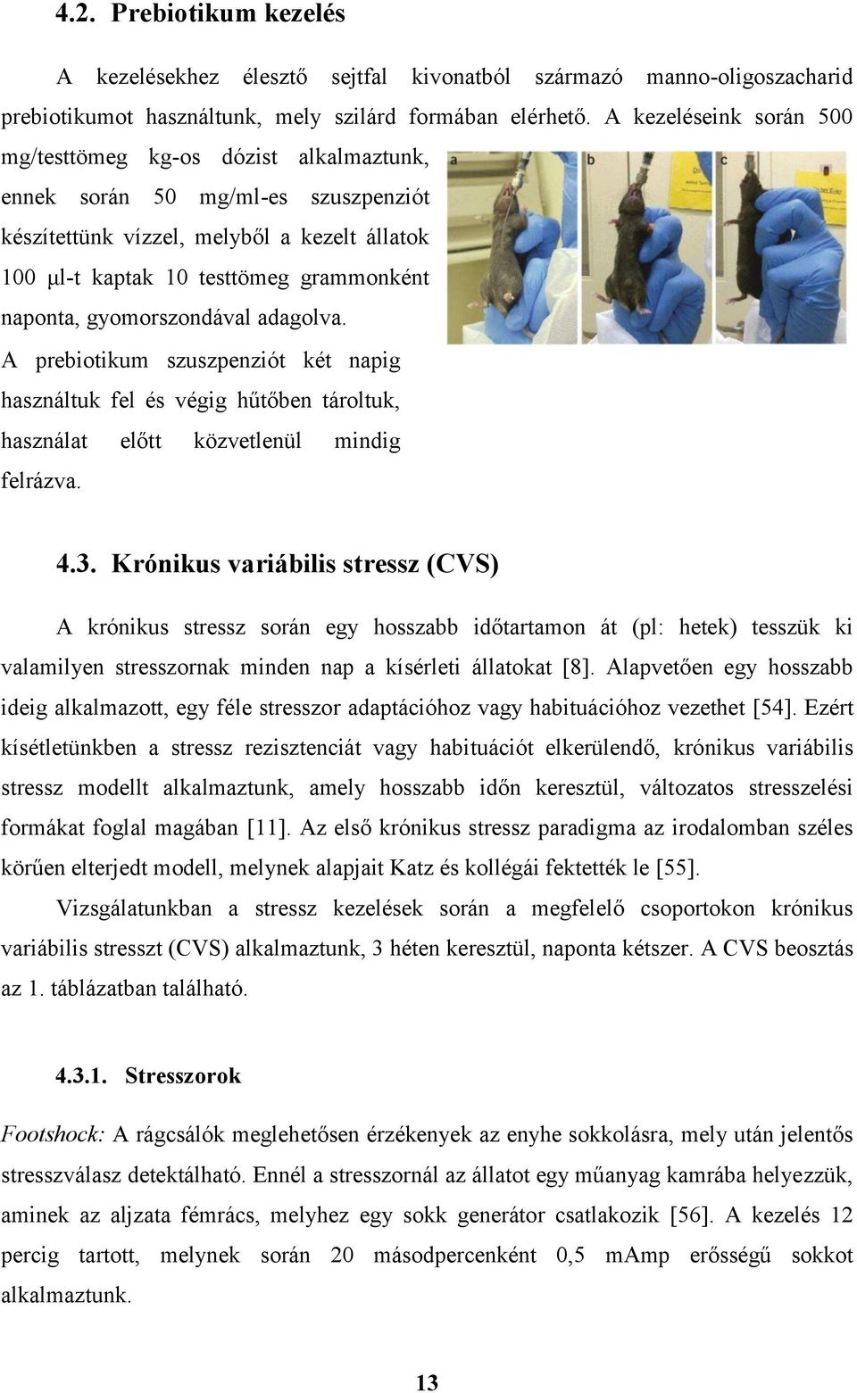 gyomorszondával adagolva. A prebiotikum szuszpenziót két napig használtuk fel és végig hűtőben tároltuk, használat előtt közvetlenül mindig felrázva. V. ábra: Gyomorszondázás, forrás: http://www.