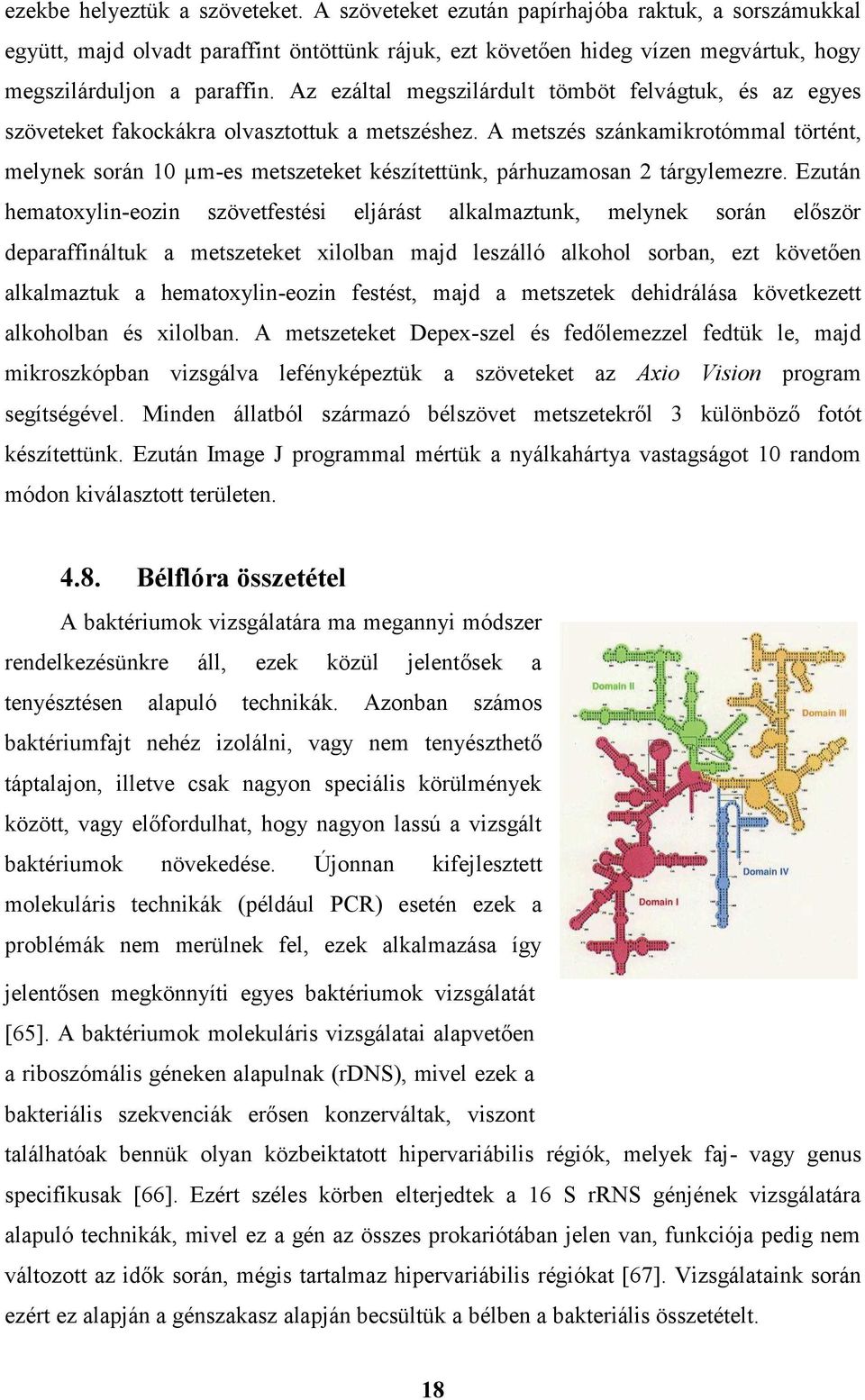 Az ezáltal megszilárdult tömböt felvágtuk, és az egyes szöveteket fakockákra olvasztottuk a metszéshez.