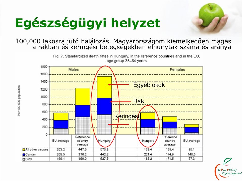 Magyarországom kiemelkedıen magas a rákban