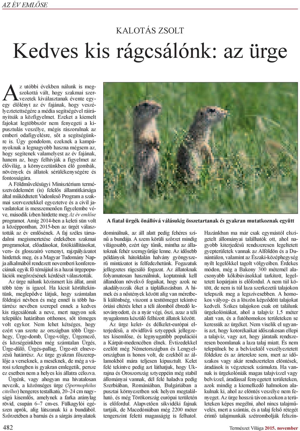 Ezeket a kiemelt fajokat legtöbbször nem fenyegeti a kipusztulás veszélye, mégis rászorulnak az emberi odafigyelésre, s t a segítségünkre is.