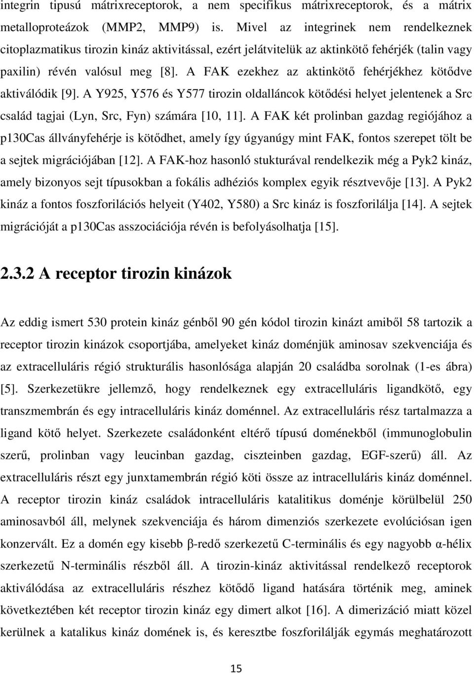 A FAK ezekhez az aktinkötı fehérjékhez kötıdve aktiválódik [9]. A Y925, Y576 és Y577 tirozin oldalláncok kötıdési helyet jelentenek a Src család tagjai (Lyn, Src, Fyn) számára [10, 11].