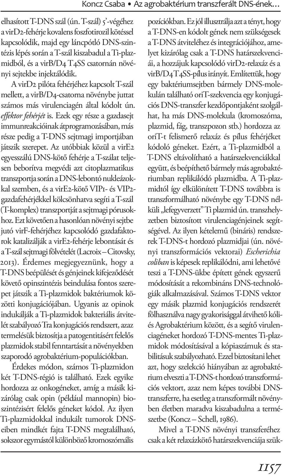 sejtekbe injektálódik. A vird2 pilóta fehérjéhez kapcsolt T-szál mellett, a virb/d4-csatorna növénybe juttat számos más virulenciagén által kódolt ún. effektor fehérjét is.