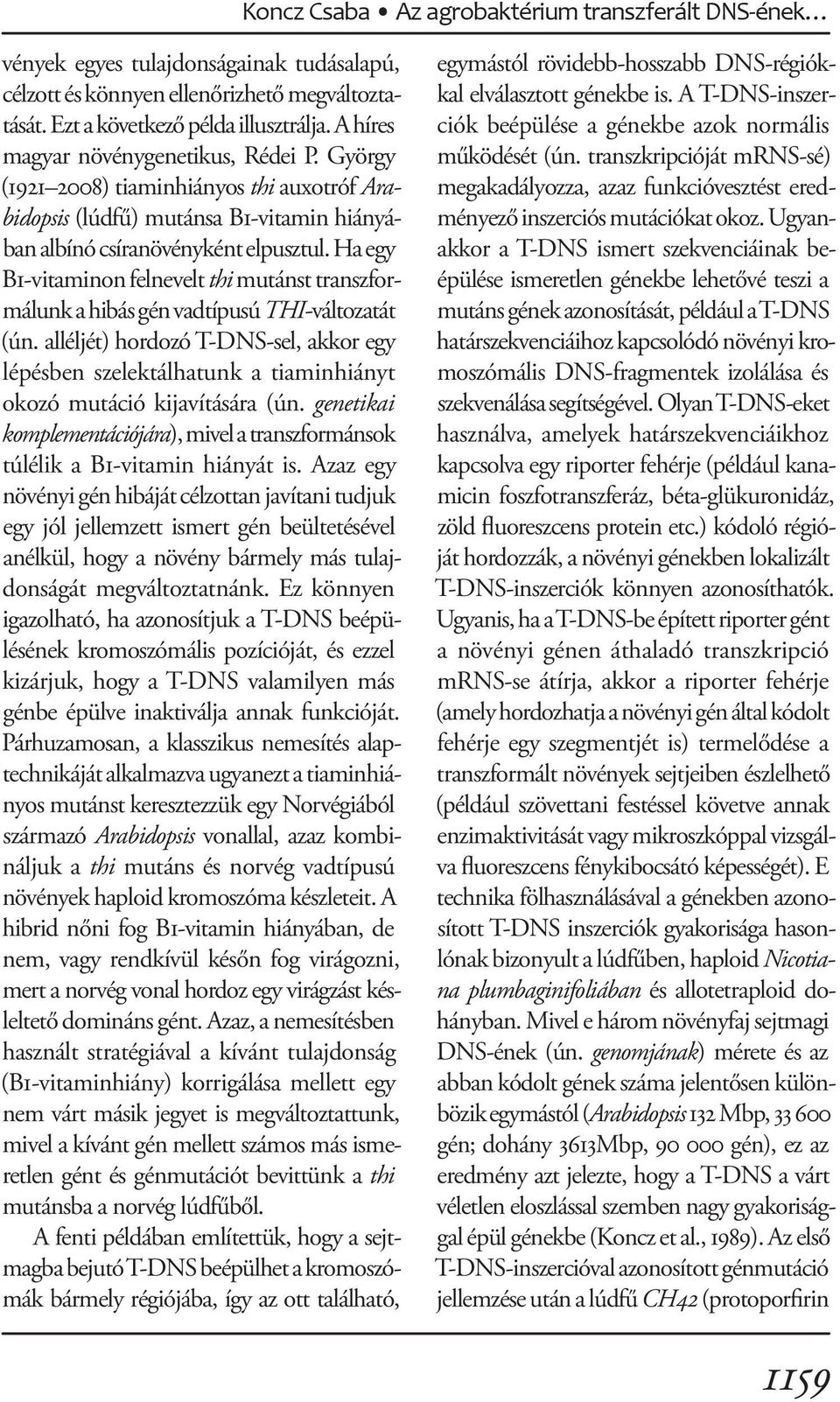 Ha egy B1-vitaminon felnevelt thi mutánst transzformálunk a hibás gén vadtípusú THI-változatát (ún.