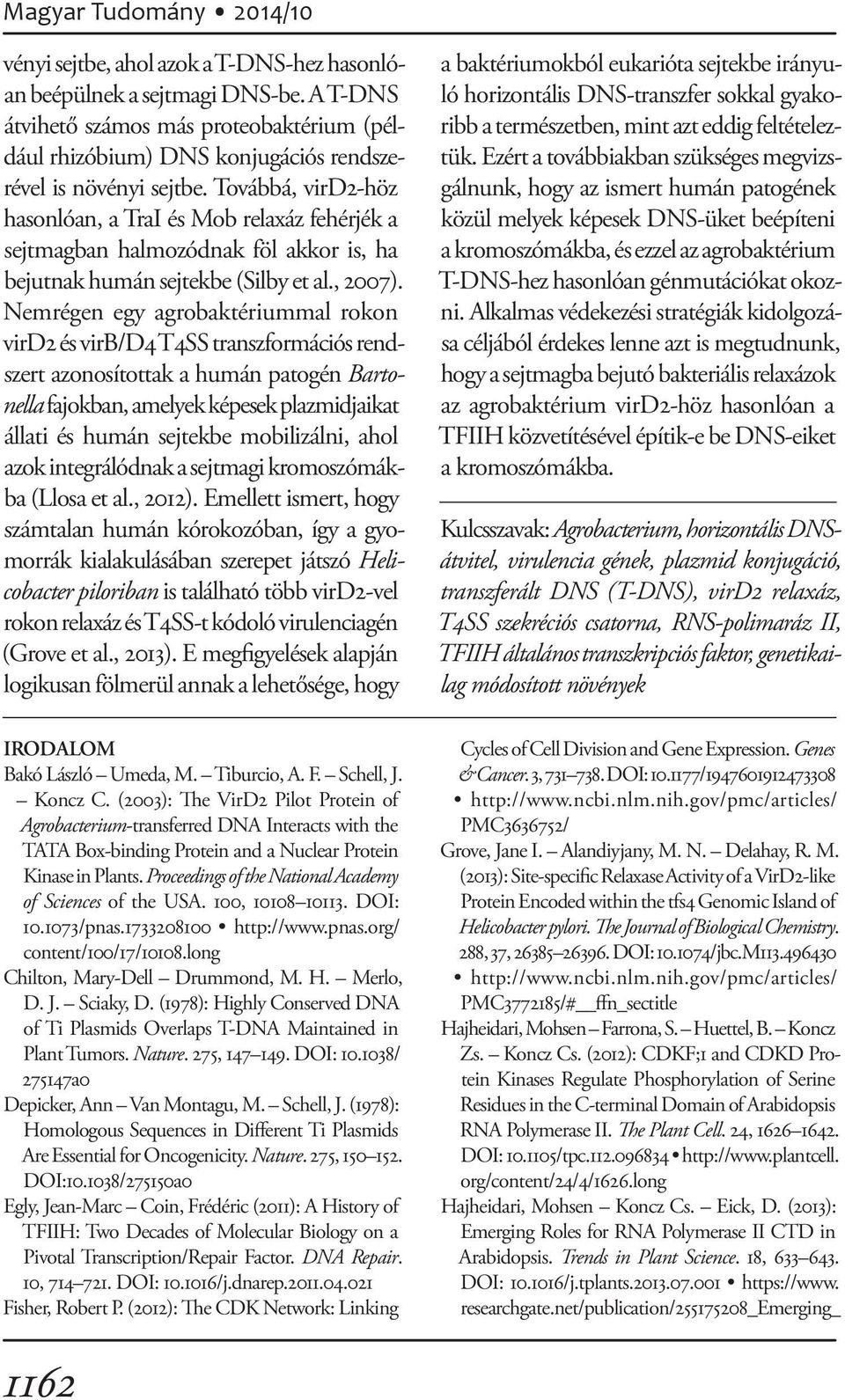 Továbbá, vird2-höz hasonlóan, a TraI és Mob relaxáz fehérjék a sejtmagban halmozódnak föl akkor is, ha bejutnak humán sejtekbe (Silby et al., 2007).