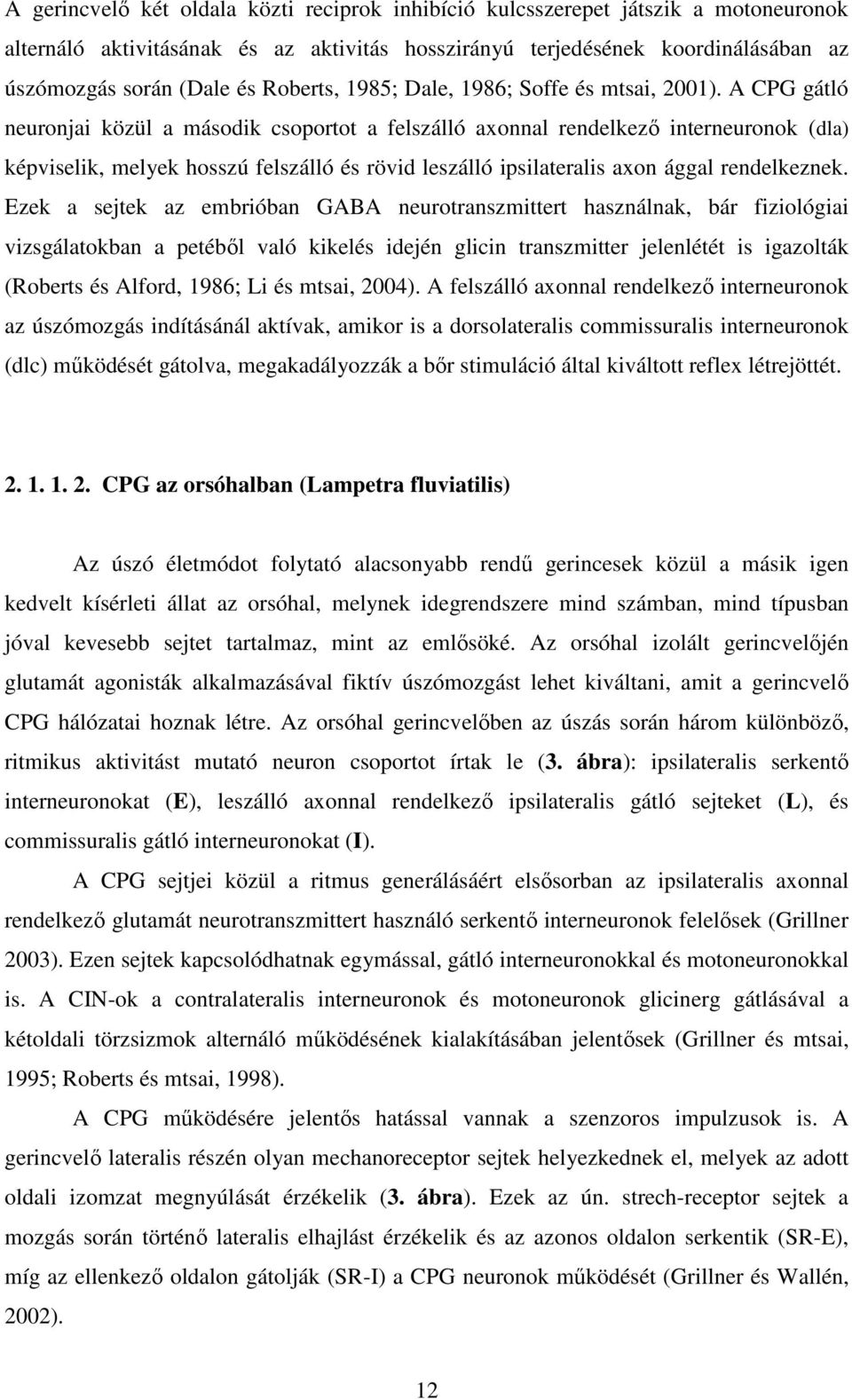 A CPG gátló neuronjai közül a második csoportot a felszálló axonnal rendelkező interneuronok (dla) képviselik, melyek hosszú felszálló és rövid leszálló ipsilateralis axon ággal rendelkeznek.