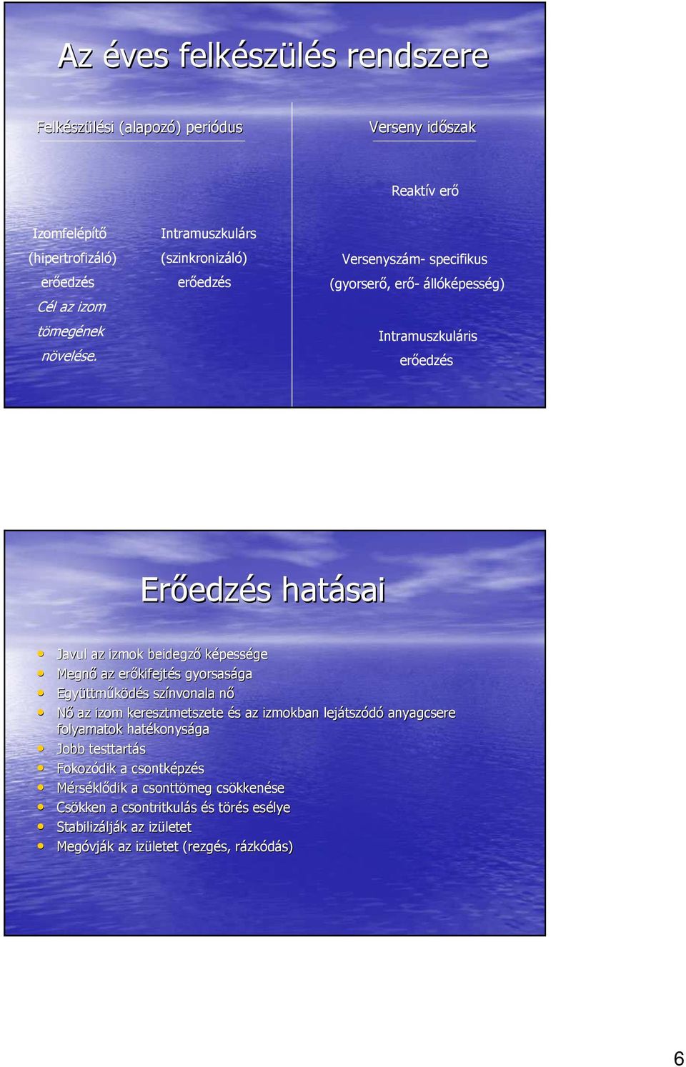 az erıkifejt kifejtés s gyorsasága ga Együttm ttmőködés s színvonala nın Nı az izom keresztmetszete és s az izmokban lejátsz tszódó anyagcsere folyamatok hatékonys konysága Jobb