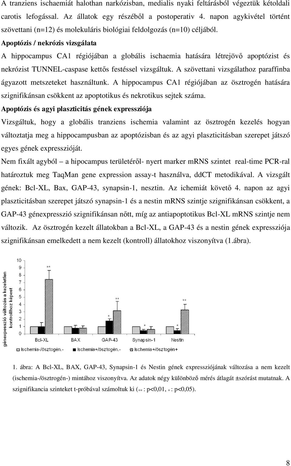 Apoptózis / nekrózis vizsgálata A hippocampus CA1 régiójában a globális ischaemia hatására létrejövő apoptózist és nekrózist TUNNEL-caspase kettős festéssel vizsgáltuk.