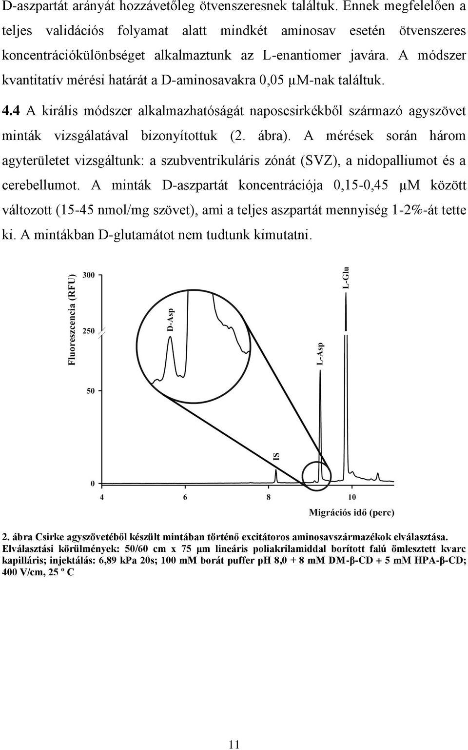 A módszer kvantitatív mérési határát a D-aminosavakra 0,05 µm-nak találtuk. 4.4 A királis módszer alkalmazhatóságát naposcsirkékből származó agyszövet minták vizsgálatával bizonyítottuk (2. ábra).