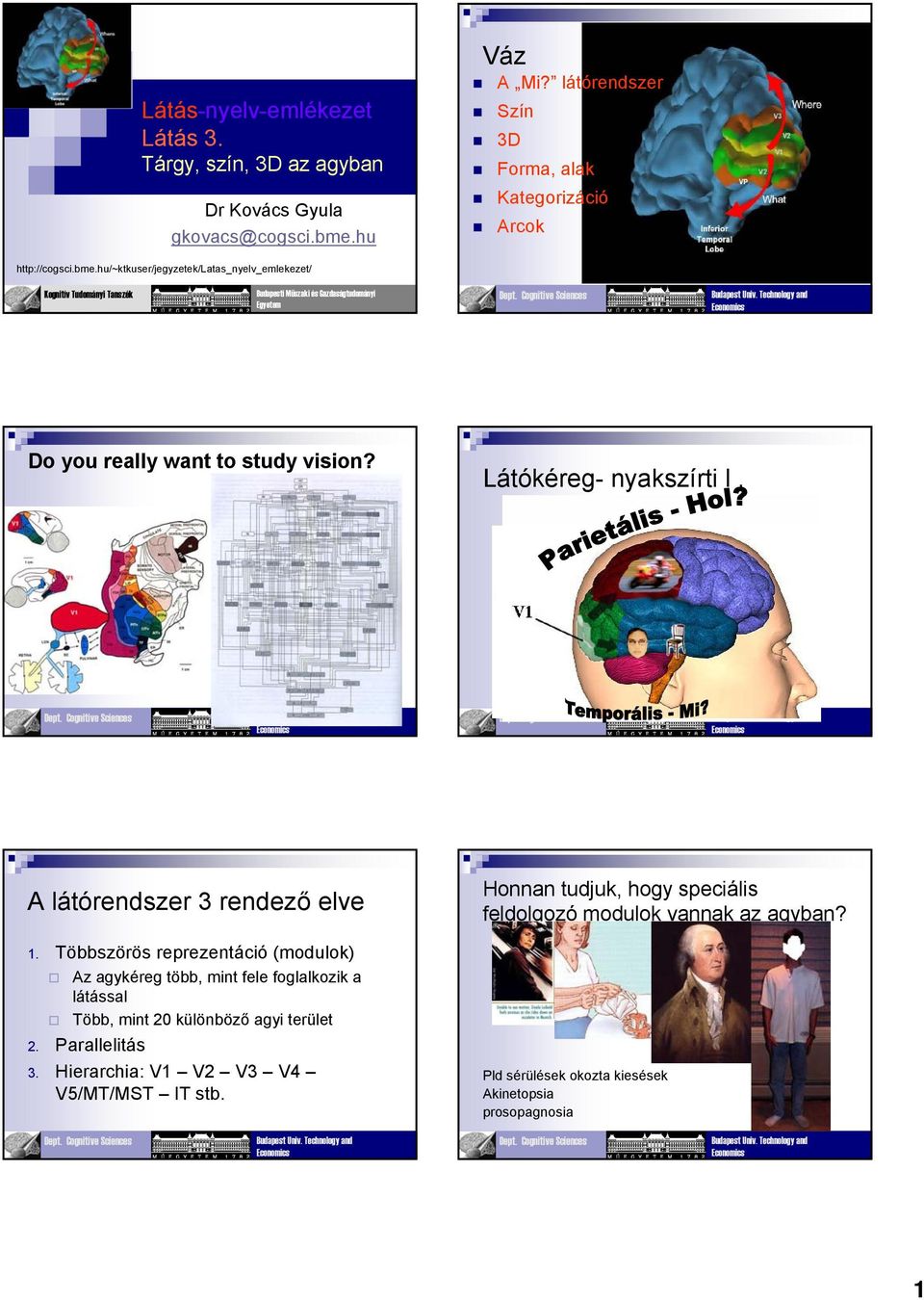 hu/~ktkuser/jegyzetek/latas_nyelv_emlekezet/ Kognitív Tudományi Tanszék Budapesti Műszaki és Gazdaságtudományi Egyetem 1 Do you really want to study vision?