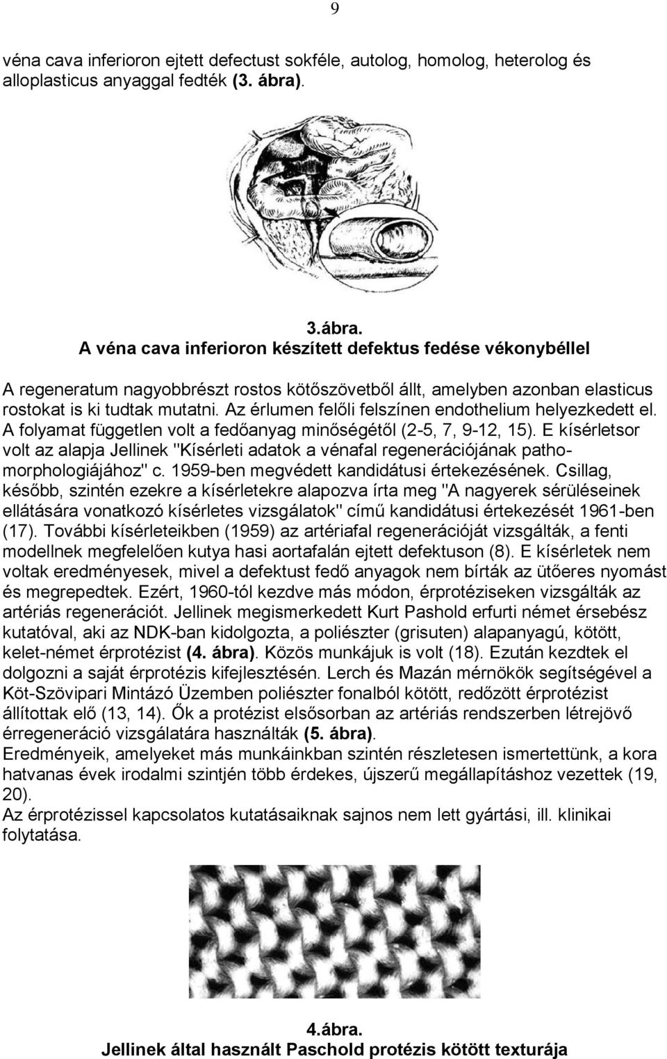 Az érlumen felőli felszínen endothelium helyezkedett el. A folyamat független volt a fedőanyag minőségétől (2-5, 7, 9-12, 15).