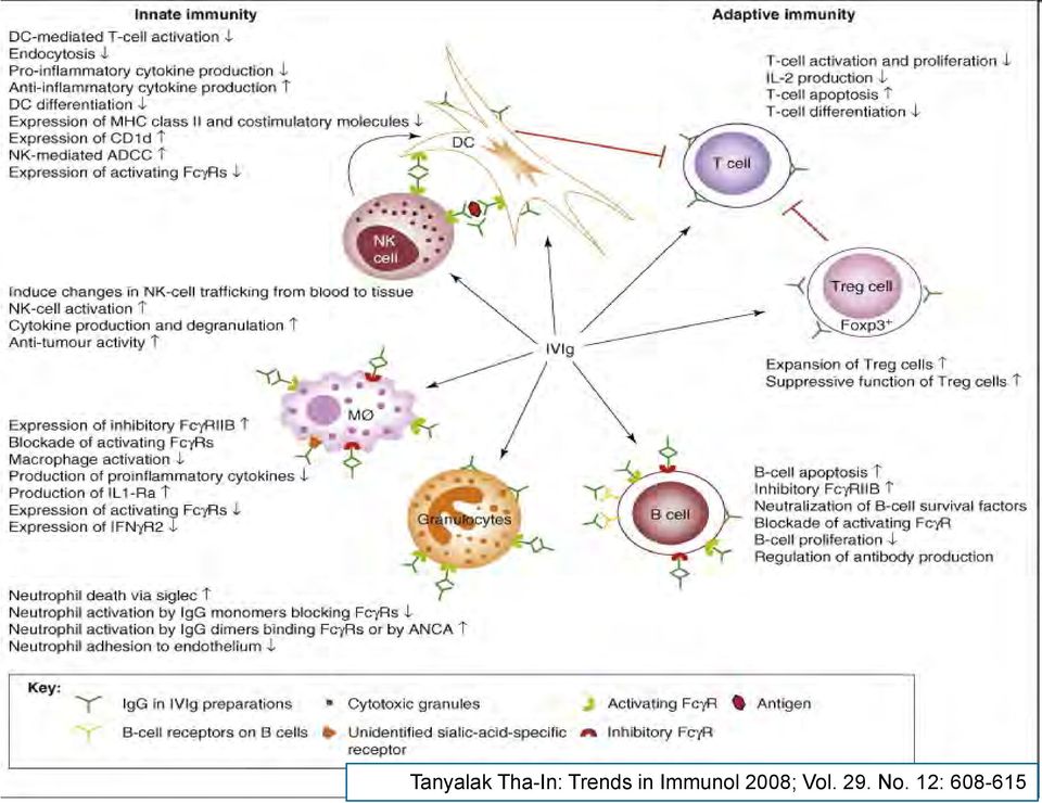 Immunol 2008;