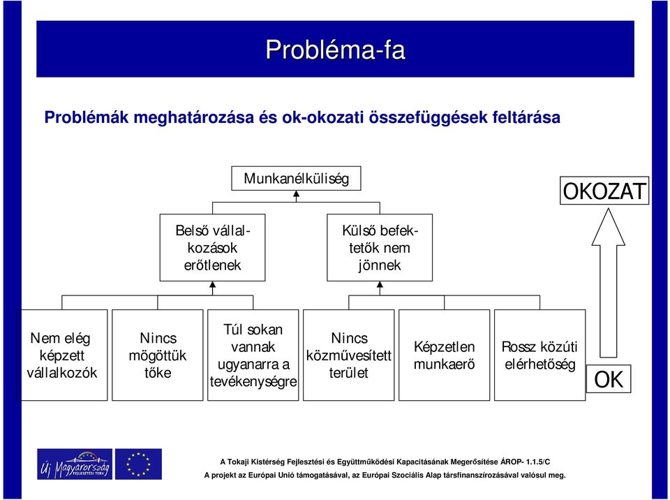 Nem elég képzett vállalkozók Nincs mögöttük tőke Túl sokan vannak ugyanarra a