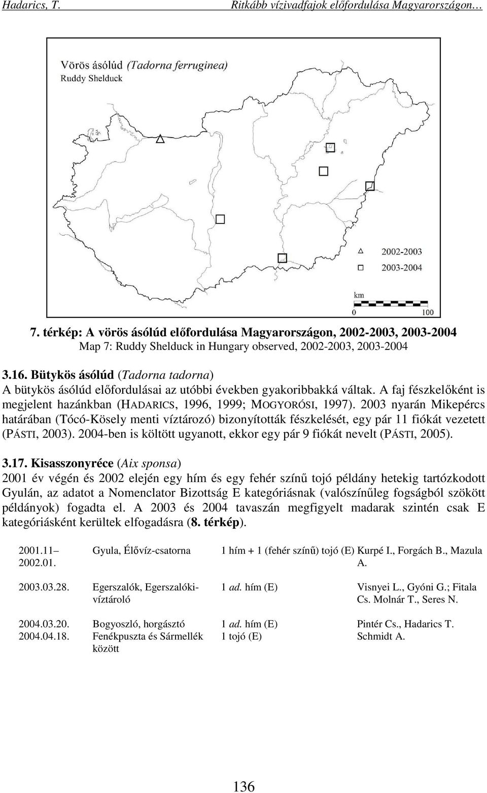 2003 nyarán Mikepércs határában (Tócó-Kösely menti víztározó) bizonyították fészkelését, egy pár 11 fiókát vezetett (PÁSTI, 2003).