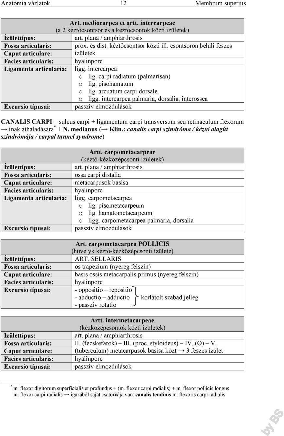 intercarpea palmaria, dorsalia, interossea passzív elmozdulások CANALIS CARPI = sulcus carpi + ligamentum carpi transversum seu retinaculum flexorum inak áthaladására * + N. medianus ( Klin.