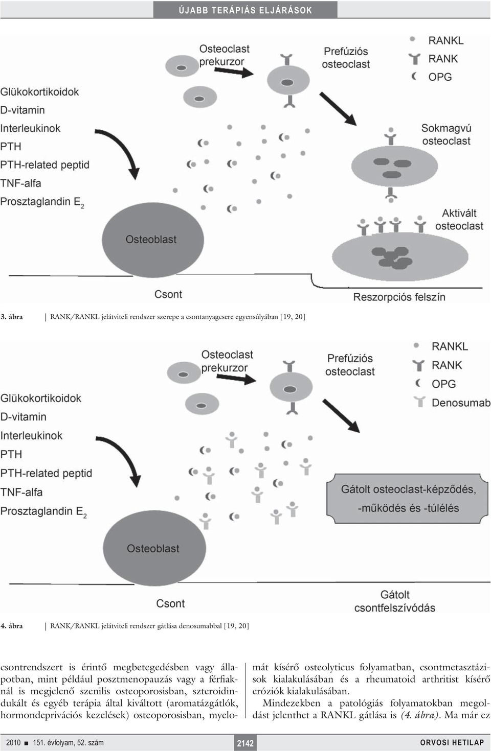 férfiaknál is megjelenő szenilis osteoporosisban, szteroidindukált és egyéb terápia által kiváltott (aromatázgátlók, hormondeprivációs kezelések) osteoporosisban,