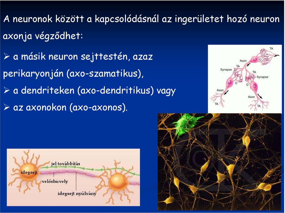 sejttestén, azaz perikaryonján (axo-szamatikus), a