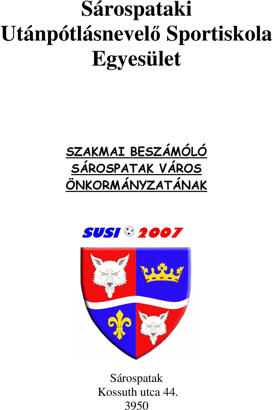 BESZÁMÓLÓ SÁROSPATAK VÁROS