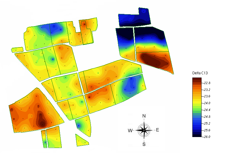 B, A szőlő növény vízellátottságának meghatározása 13 C carbon isotop discrimination ( 13 C/ 12 C ratio) mustban szüretkor Rubisco (Ribulose-1,5-bisphosphate carboxylase-oxygenase) megkülönbözteti a