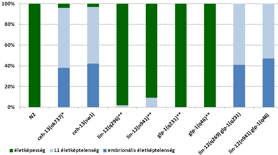 A vad típusú C. elegans fonálférgek 100%-ban életképesek. ceh-13(-) genetikai null mutáns fonálférgeket 55%-os embrionális és 42%-os L1 lárvakori életképtelenség jellemzi. (34.