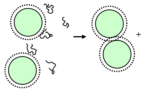 Good adsorbent, good solvent, (very) low polymer density, (very) long polymers The long polymers bind the colloids together in open flocs.