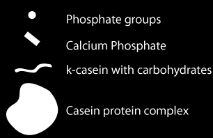 A kazein micella részletei Foszfát csoportok