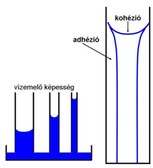 A FONTOSABB TALAJFIZIKAI ÉS TALAJKÉMIAI JELLEMZŐK ÉS KÖZÖTTÜK LÉVŐ ÖSSZEFÜGGÉSEK - acélfalú pf készülékkel (15 bar nyomás) - hy ból számítva HVs% = 4hy Kiszámítása: HVt% = 4hy vagy HVtf% = 4hy * r