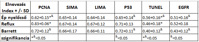 7. EREDMÉNYEK 7.1.