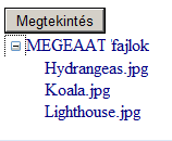 A megjelenítendő mappaszerkezethez TreeView vezérlőt használunk. A TreeView, ahogy a nevében is benne van, egy fa megjelenítésére szolgáló vezérlő.