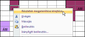 - Minden cella két részre van osztva: o Alsó cella: pedagógus monogramot tartalmazhat o Felső cella: tematikus egység rövidítést tartalmazhat A cella színe függ a pedagógus színkódjától, amit az