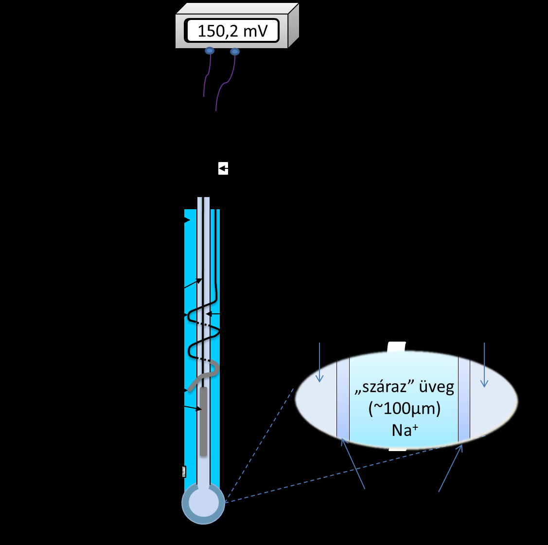 III. Műszeres analitika A. Elektroanalitika 2. Potenciometria A külső hengeres üvegtest alsó része a belső üvegtesthez való forrasztással le van zárva.