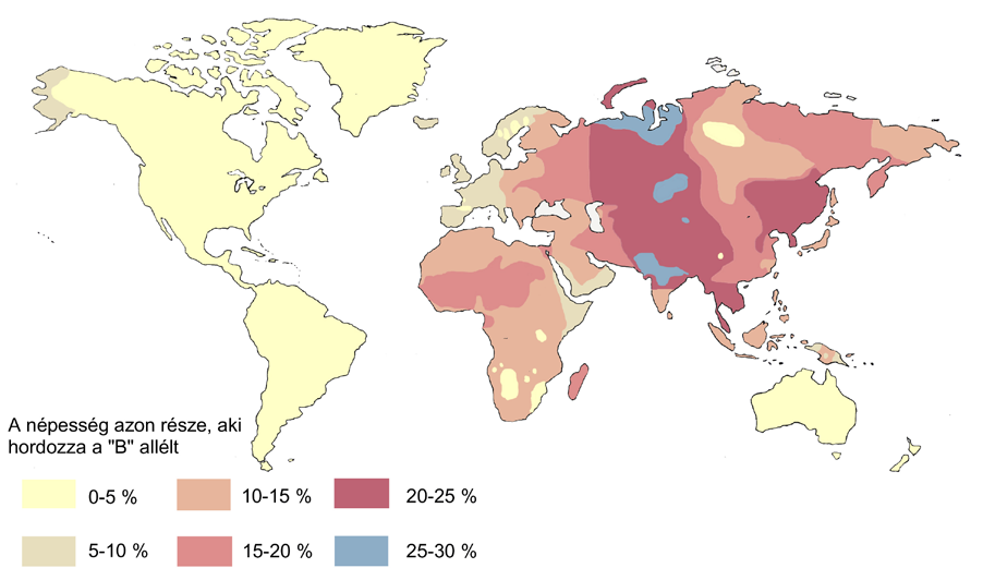 40 szövegértés szövegalkotás biológia 10. 3. ábra: Az A allél gyakorisága az egyes földrészeken 4.