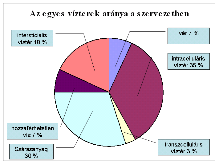 enzimek nem tudják lebontani. Beépült a táplálékláncba és akkumulálódik (idegrendszeri tünetek, és a madarak tojáshéja vékonyabb lesz tőle).