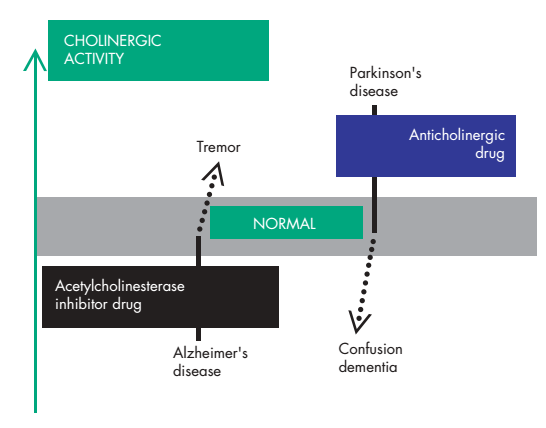 Neurológiai mellékhatások Trombózis, stroke orális fogamzásgátlók, hormonpótlás Kisagyi eredetű mozgászavarok fenitoin (antiepileptikum), lítium Kognitív