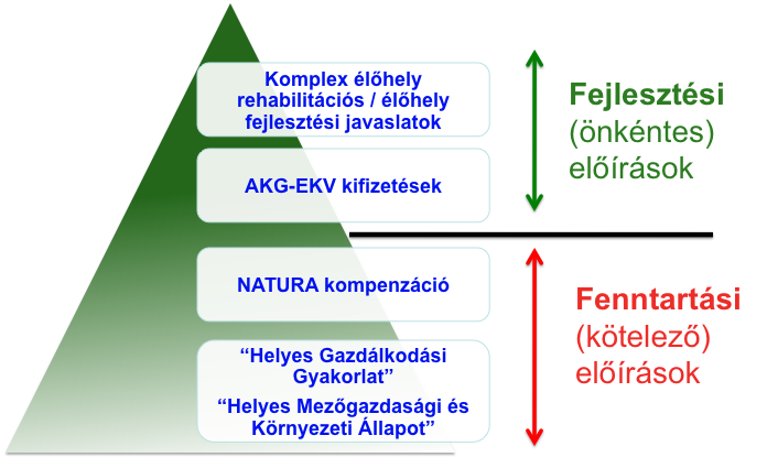 használtunk, amely művelési áganként eltérő számú, de egységes szerkezetben, kódszámmal ellátva tartalmazza a kiválasztott húsz Natura 2000 területre vonatkozóan a lehetséges előírásokat.