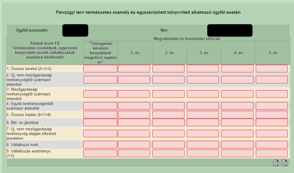 Pénzügyi terv Pénzügyi tervből két változatot tartalmaz a felület, melyek kitöltése az alábbiak szerint szükséges: Természetes személy és egyszeres könyvvitelt alkalmazó ügyfél esetén a Pénzügyi terv