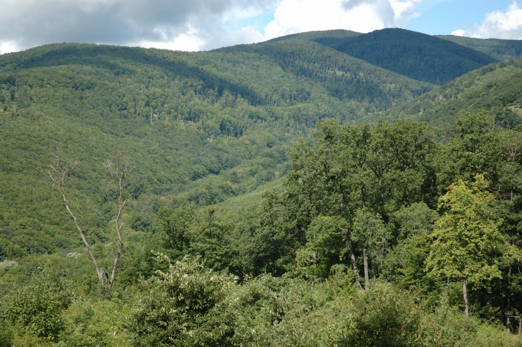 Duna-Ipoly Nemzeti Park Igazgatóság A Börzsöny