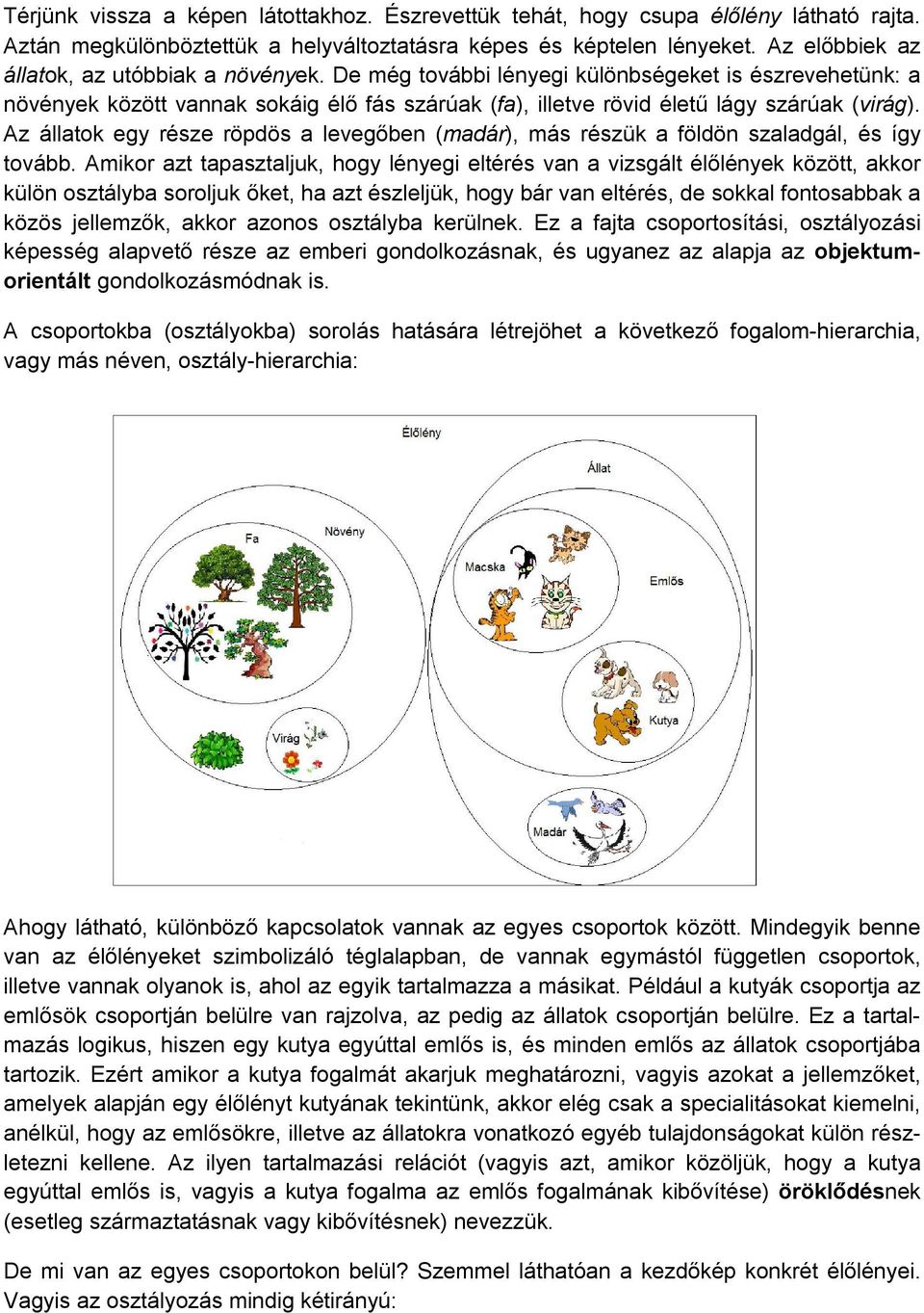 Az állatok egy része röpdös a levegőben (madár), más részük a földön szaladgál, és így tovább.