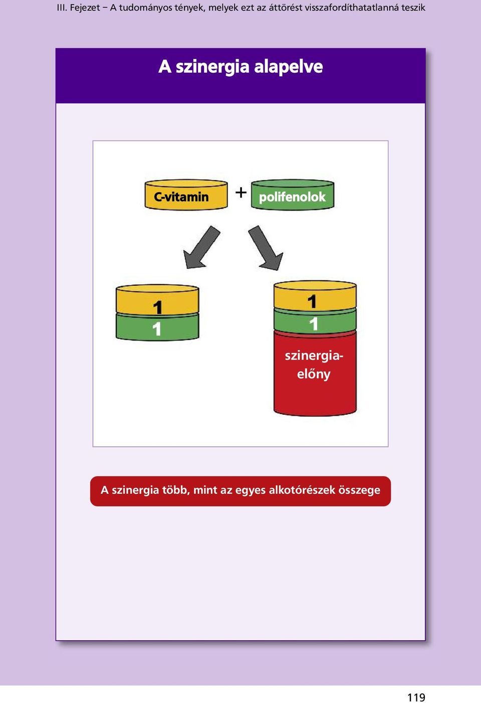 alapelve C-vitamin + polifenolok szinergiaelőny A