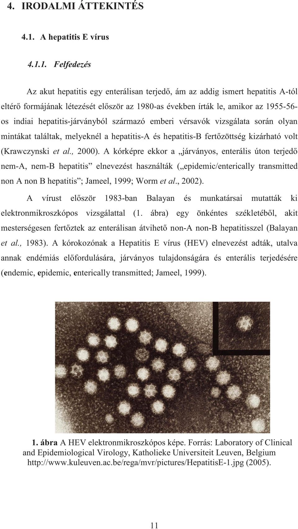 1. Felfedezés Az akut hepatitis egy enterálisan terjed, ám az addig ismert hepatitis A-tól eltér formájának létezését el ször az 1980-as években írták le, amikor az 1955-56- os indiai