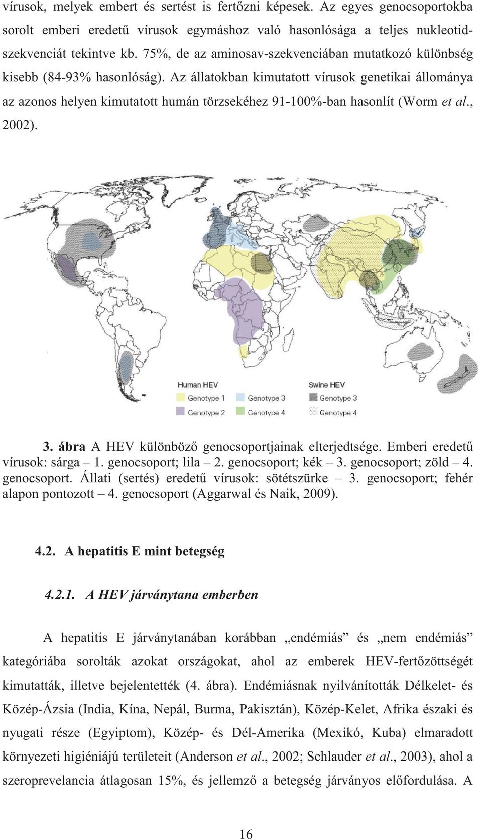 Az állatokban kimutatott vírusok genetikai állománya az azonos helyen kimutatott humán törzsekéhez 91-100%-ban hasonlít (Worm et al., 2002). 3. ábra A HEV különböz genocsoportjainak elterjedtsége.